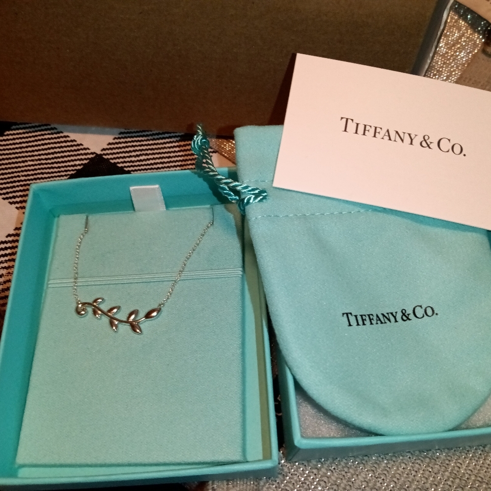 Tiffany & Co. Sterling Silver Necklace (Tiffany Blue)